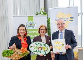 Gemüse von klein auf schätzen lernen: Aktion „Gemüsepyramide“ stärkt Ernährungskompetenz bei Kindern