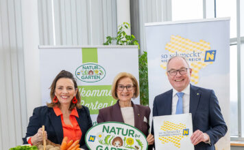 Gemüse von klein auf schätzen lernen: Aktion „Gemüsepyramide“ stärkt Ernährungskompetenz bei Kindern