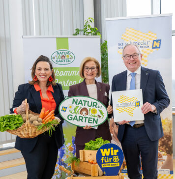 Gemüse von klein auf schätzen lernen: Aktion „Gemüsepyramide“ stärkt Ernährungskompetenz bei Kindern