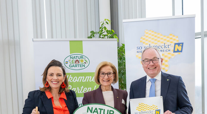 Gemüse von klein auf schätzen lernen: Aktion „Gemüsepyramide“ stärkt Ernährungskompetenz bei Kindern