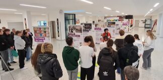 NS-Ausstellung „Lebendige Geschichte“ im Schulzentrum Schärding