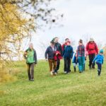 Goldenes Erwachen im Pielachtal