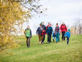 Goldenes Erwachen im Pielachtal