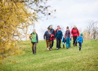 Goldenes Erwachen im Pielachtal