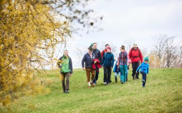 Goldenes Erwachen im Pielachtal