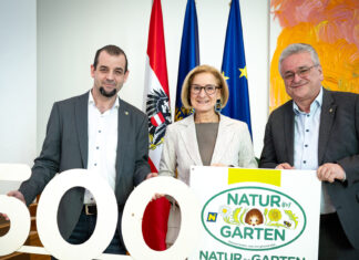 Ein Meilenstein für das Weinviertel