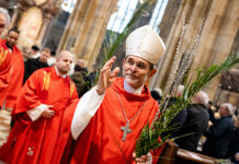 Das Herz auf Hoffnung stellen gegen den rauen Wind der Zeit