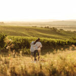 Ein Jahr voller Genussmomente im Weinviertel