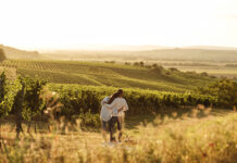 Ein Jahr voller Genussmomente im Weinviertel
