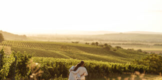Ein Jahr voller Genussmomente im Weinviertel