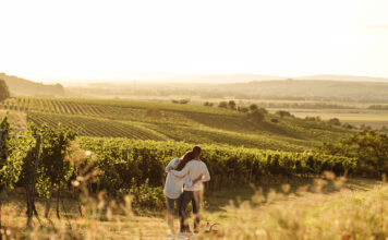Ein Jahr voller Genussmomente im Weinviertel