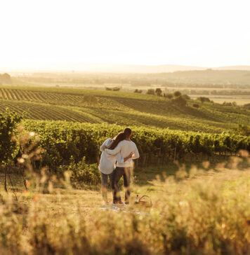 Ein Jahr voller Genussmomente im Weinviertel
