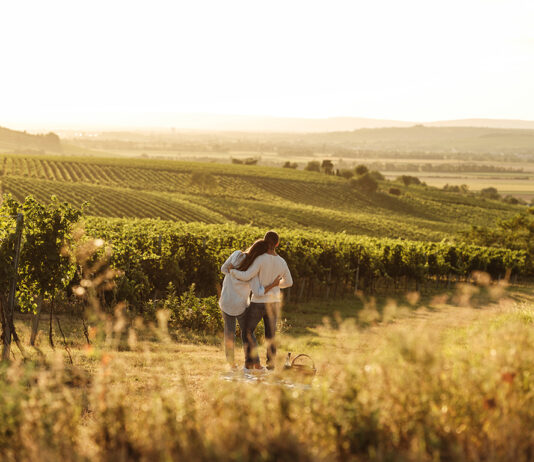 Ein Jahr voller Genussmomente im Weinviertel