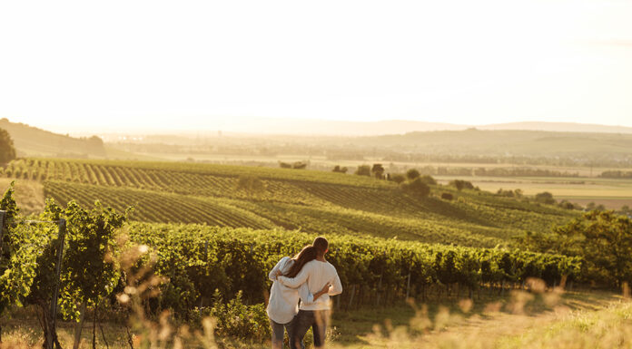 Ein Jahr voller Genussmomente im Weinviertel