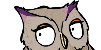 Wenn die Wildnis das Wort ergreift