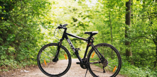 Alpen Bikepark Schneeberg eröffnet am 15. Mai 2026