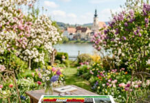 stadtlandzeitung: Online früher lesen!