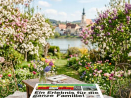 stadtlandzeitung: Online früher lesen!