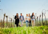 NÖ Weinfrühling – Auftakt für das Weinjahr in Niederösterreich
