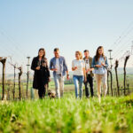 NÖ Weinfrühling – Auftakt für das Weinjahr in Niederösterreich