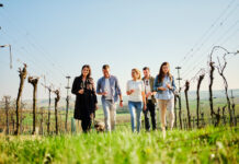 NÖ Weinfrühling – Auftakt für das Weinjahr in Niederösterreich