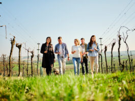 NÖ Weinfrühling – Auftakt für das Weinjahr in Niederösterreich