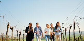 NÖ Weinfrühling – Auftakt für das Weinjahr in Niederösterreich