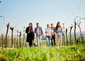 NÖ Weinfrühling – Auftakt für das Weinjahr in Niederösterreich