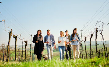 NÖ Weinfrühling – Auftakt für das Weinjahr in Niederösterreich
