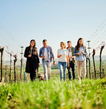 NÖ Weinfrühling – Auftakt für das Weinjahr in Niederösterreich