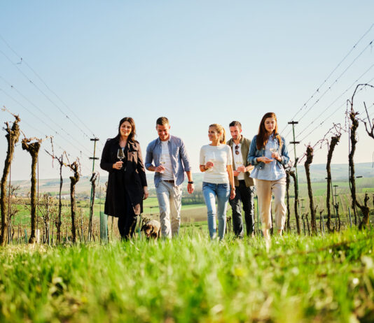 NÖ Weinfrühling – Auftakt für das Weinjahr in Niederösterreich