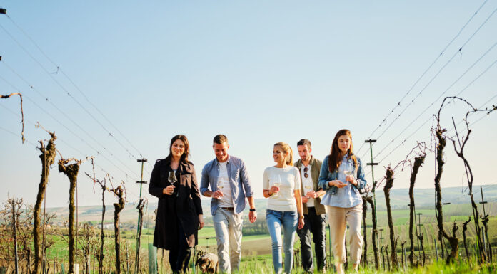 NÖ Weinfrühling – Auftakt für das Weinjahr in Niederösterreich