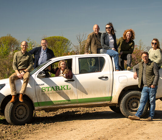 Aus Wurzeln wächst Zukunft