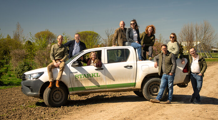 Aus Wurzeln wächst Zukunft