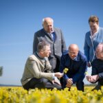 Heilpflanzen aus NÖ landen in der Apotheke