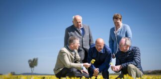 Heilpflanzen aus NÖ landen in der Apotheke