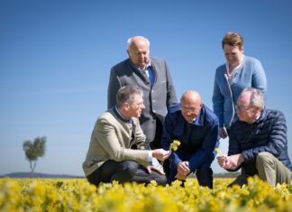 Heilpflanzen aus NÖ landen in der Apotheke