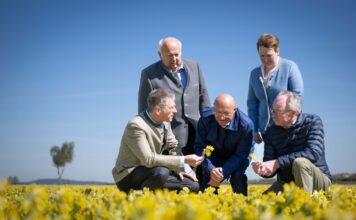 Heilpflanzen aus NÖ landen in der Apotheke