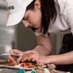 NÖ-Lehrlinge begeistern beim Backlehrlingswettbewerb