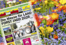 stadtlandzeitung: Online früher lesen!
