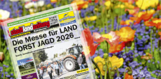 stadtlandzeitung: Online früher lesen!