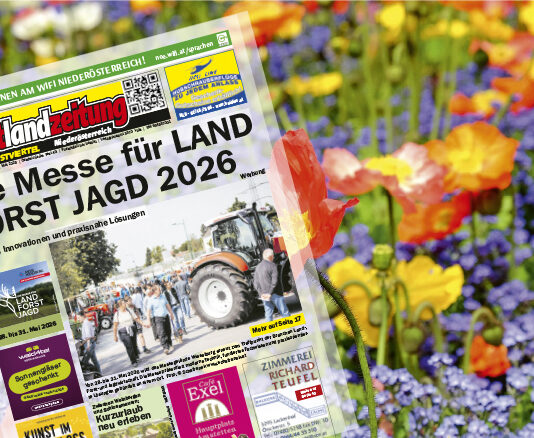 stadtlandzeitung: Online früher lesen!