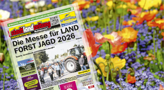 stadtlandzeitung: Online früher lesen!