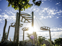 Zwei Niederösterreicher gewinnen Berliner Umweltpreis