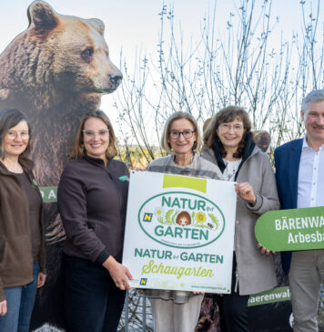 Bären, Beeren und Bewusstsein für die Natur