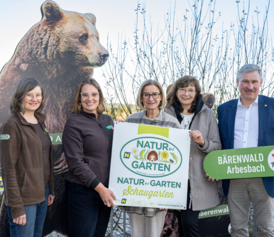 Bären, Beeren und Bewusstsein für die Natur