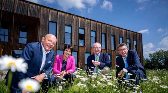 Neues Heilpflanzen-Institut entsteht am Campus Tulln