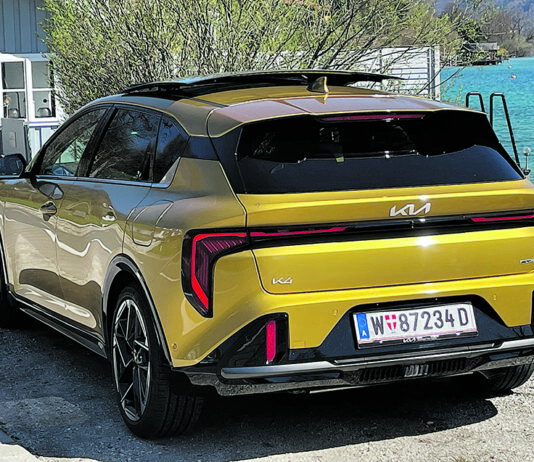 Elektrische Kraft trifft (Kombi)-Vernunft