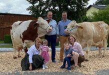 Ybbser Michviehbetrieb holt Gold für Erdbeer-Joghurt