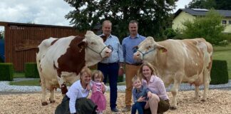 Ybbser Michviehbetrieb holt Gold für Erdbeer-Joghurt